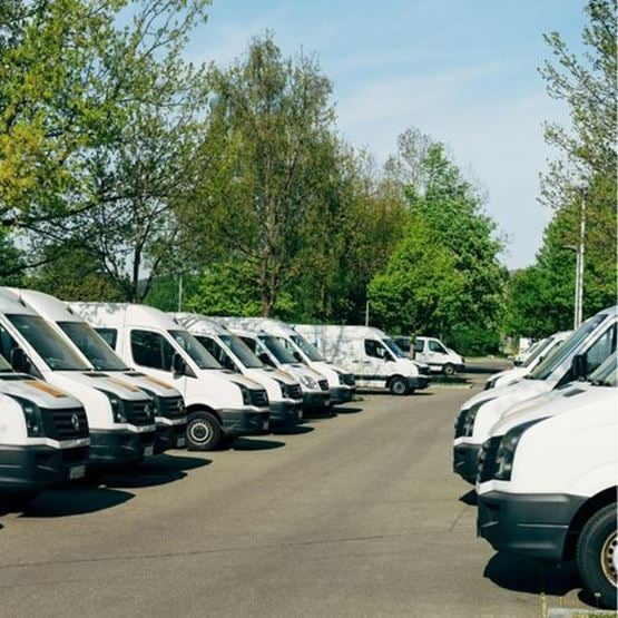 Alignement de plusieurs véhicules utilitaires blancs stationnés en extérieur sur un parking arboré.