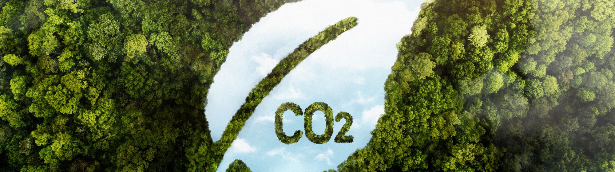 Image d'illustration de decarbonation